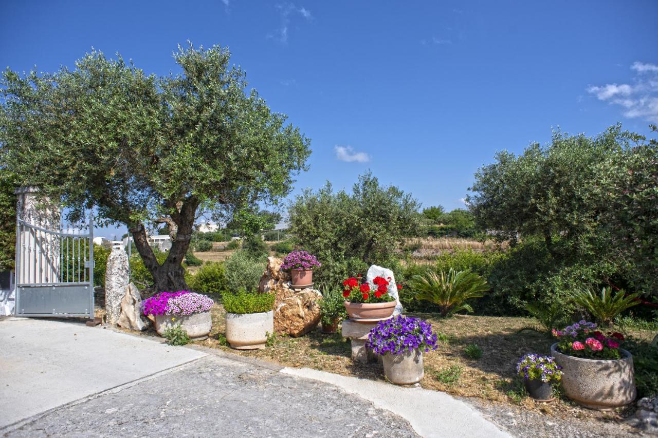 B&B Il Brigante Alberobello Eksteriør bilde